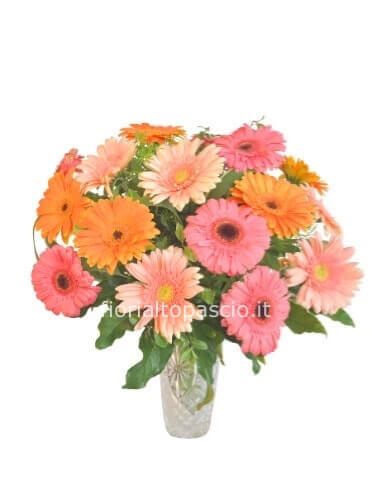 Bouquet di gerbera di colore misto