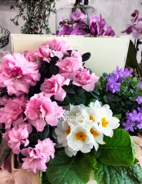 Composizione di piante primaverile con composte dentro una scatola fantasia floreale