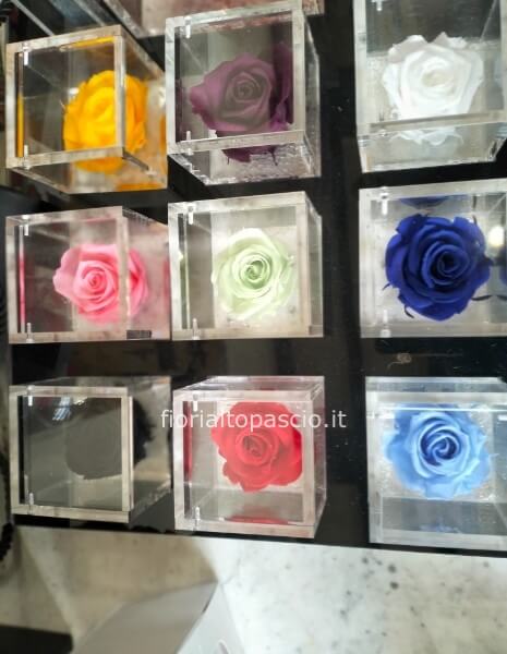 Rose stabilizzate flowers cube cubo 6x6 profumate chiamare per la disponibilità del colore