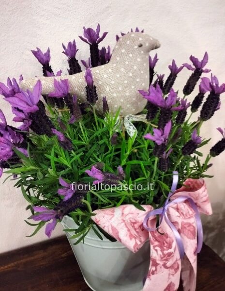 Pianta di lavanda decorata con uccellini di stoffa con porta vaso di latta
