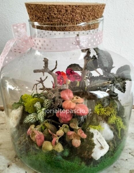 Composizione di piante con boule di vetro 