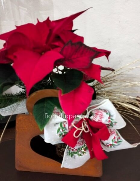 Stella di Natale con portavaso